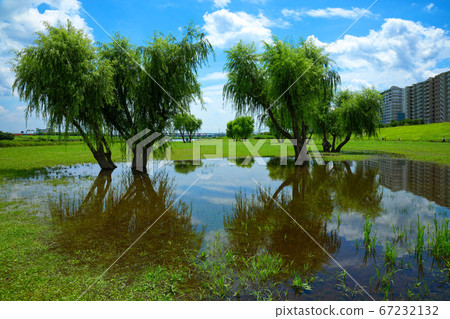 A puddle of the Arakawa River in the rainy season valley and the scenery that shines on the water surface 67232132