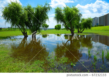 A puddle of the Arakawa River in the rainy season valley and the scenery that shines on the water surface A puddle of the Arakawa River in the rainy season valley and the scenery that shines on the water surface 67232133