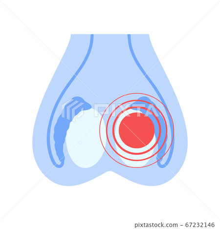Reproductive system concept 67232146