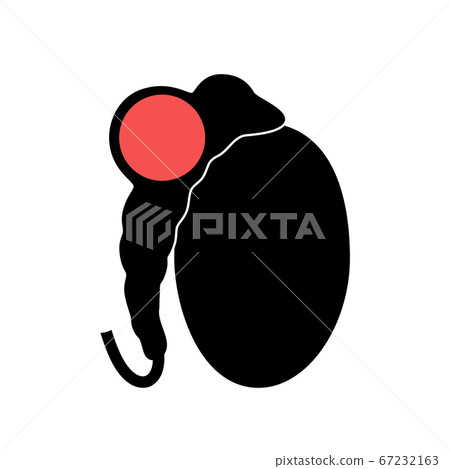 Reproductive system concept Reproductive system concept 67232163