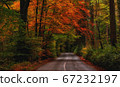 Cozy mountain road in golden autumn 67232197