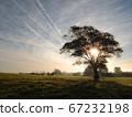 Rural sunrise scene with lonely tree 67232198