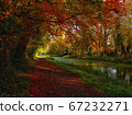 Cozy autumn trail with fiery tree crones 67232271