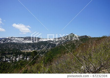 Let's go spring, Hachimantai, Mt. 67232304