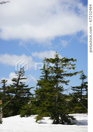 我們去春天八tai平 我們去春天八tai平 67232464