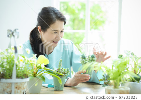 Flower garden pot gardening Flower garden pot gardening 67233825