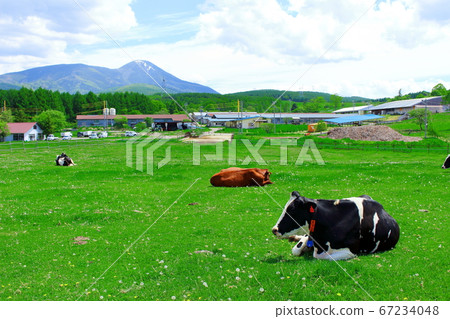 Highlands Ranch 2007 Highlands Ranch 2007 67234048