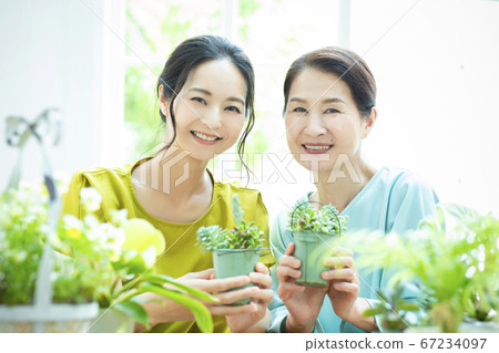 Flower garden pot gardening Flower garden pot gardening 67234097