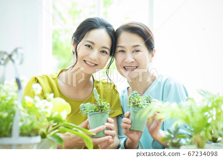 花卉盆栽園藝 花卉盆栽園藝 67234098