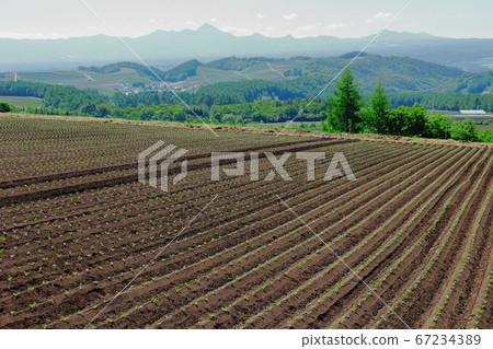 美麗的Tsu戀村2007:美麗的淺間山2007 美麗的Tsu戀村2007:美麗的淺間山2007 67234389