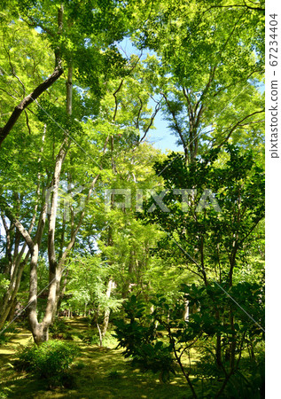 Gioji garden 67234404