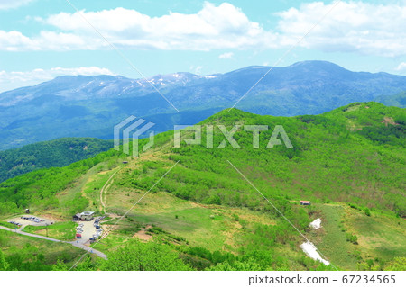 Miyama Scenery 2007：編織的花草風景2007 67234565