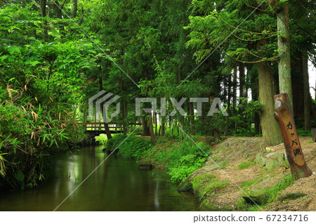 岩手縣遠野市Summer Kappabuchi 67234716