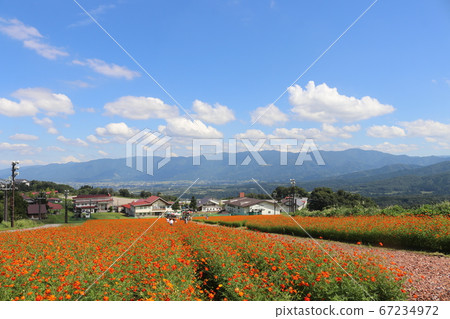 Kibana Cosmos field and cityscape 2 Kibana Cosmos field and cityscape 2 67234972