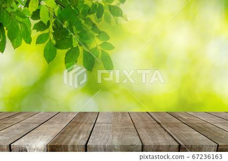 wood table top and Abstract blur green leaves 67236163