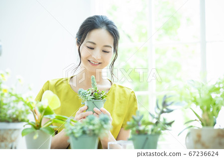 Flower garden pot gardening 67236624