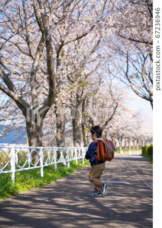 Boy spring cherry blossom satchel 67236946