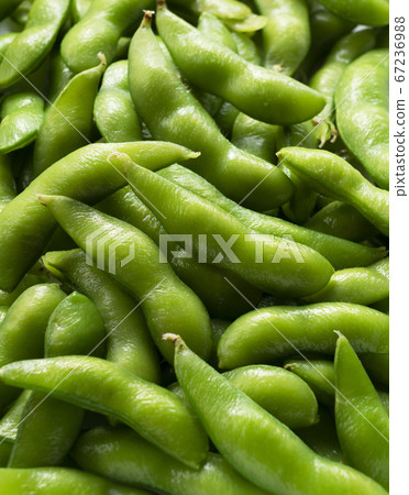 毛豆 67236988