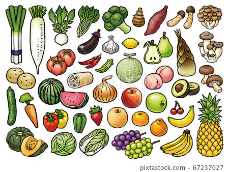 Hand drawn vegetables and fruits vector - Stock Illustration