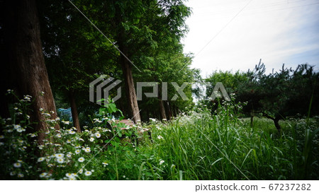 漫步 漫步 67237282