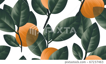 Seamless pattern, orange fruit with green leaves on branch on white background 67237463