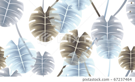 Seamless pattern, brown, purple and blue split leaf Philodendron on white background 67237464