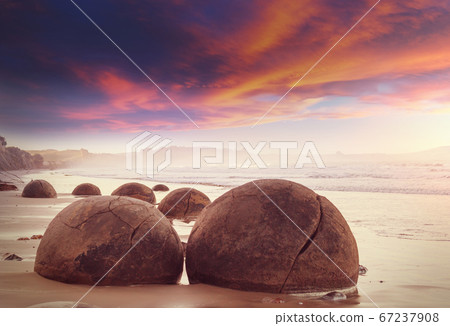 Moeraki boulder 67237908