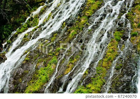新鮮的綠色Oshinkoshin瀑布 67240070