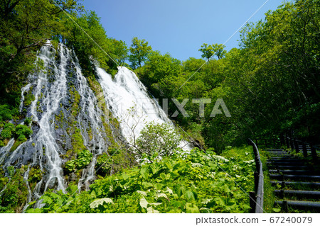 Fresh green Oshinkoshin waterfall 67240079