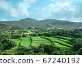 Landscape view of agriculture crop against mountain and sky 67240192