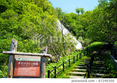 Fresh green Oshinkoshin waterfall 67240308