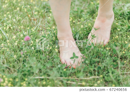 A woman in nature A woman in nature 67240656