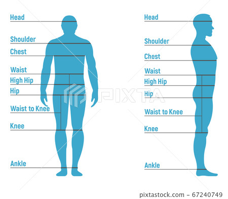 Male size chart anatomy human character, people 67240749