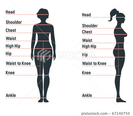 Female size chart anatomy human character, people 67240750