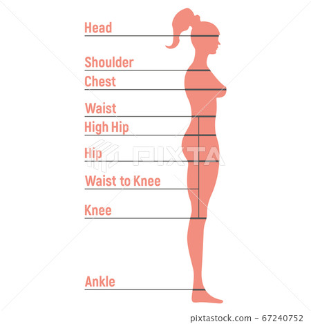 Female size chart anatomy human character, people 67240752