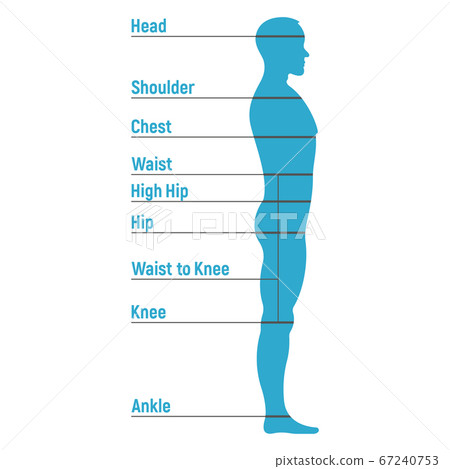 Male size chart anatomy human character, people 67240753