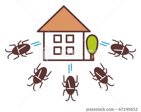 A group of cockroaches leaving the house A group of cockroaches leaving the house 67240852
