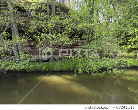 view over shallow river stream with grassy shore with lush green trees and rock in golden warm light. Late spring sunny afternoon, vibrant colors 67241118