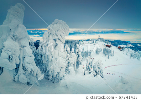 Foggy winter landscape with snowy pine trees in Poiana Brasov Foggy winter landscape with snowy pine trees in Poiana Brasov 67241415