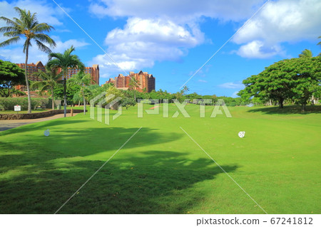 Hawaii (Oahu) Holiday (Golf Life) 67241812