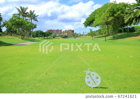 Hawaii (Oahu) Holiday (Golf Life) 67241821