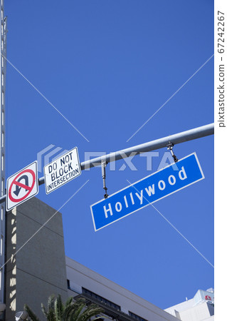 Hollywood signs Hollywood signs 67242267