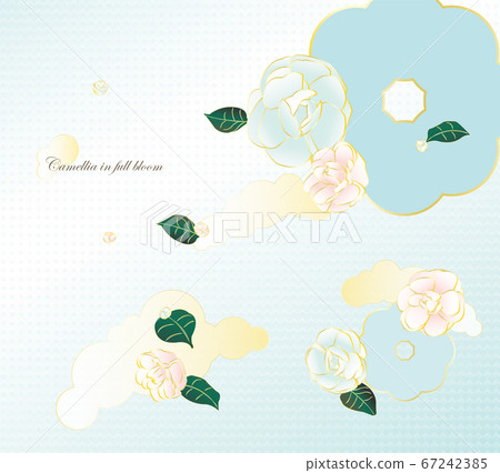 淡藍色山茶花 淡藍色山茶花 67242385