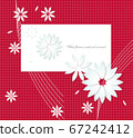 White flowers blooming on vermilion 67242412