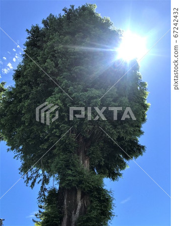 Taiki [山形縣] 67242432