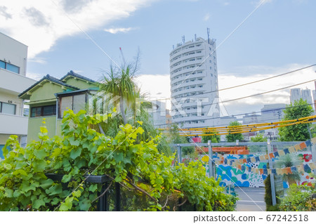 城市景觀與觀賞植物 城市景觀與觀賞植物 67242518