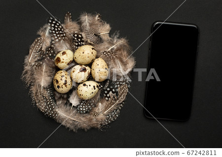 Mobile phone and quail eggs with feathers on a black background 67242811