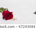 Single red flower rose on white background with golden rings near. 67243084