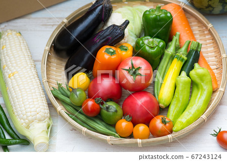 各種夏季蔬菜 各種夏季蔬菜 67243124