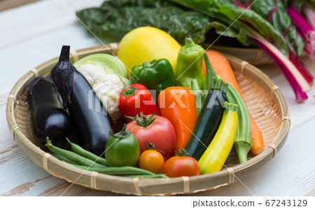 各種夏季蔬菜 各種夏季蔬菜 67243129